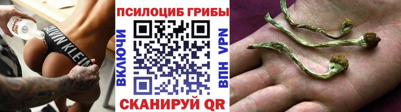 Купить закладки  Искитим  Псилоцибиновые грибы Magic Shrooms 